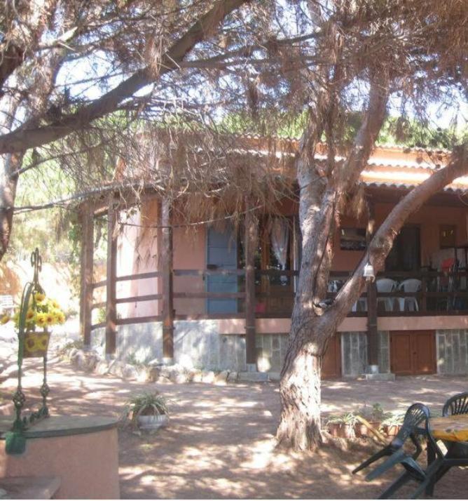Casa vacanze Casa Alice Vicino Al Mare