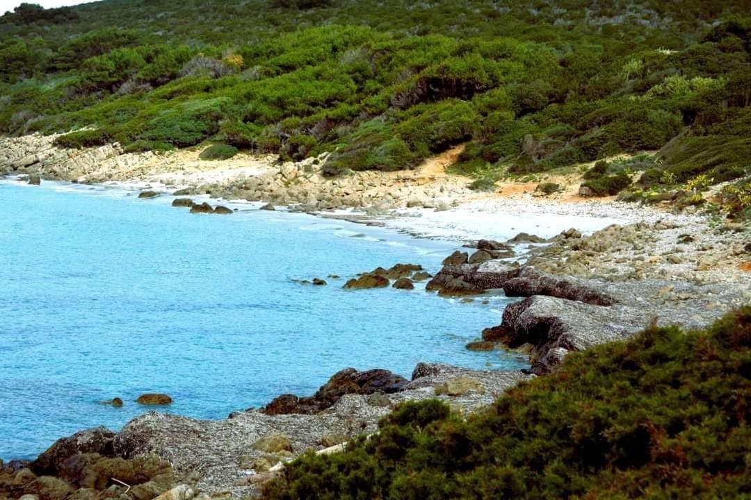 Casa Alice Vicino Al Mare Casa vacanze